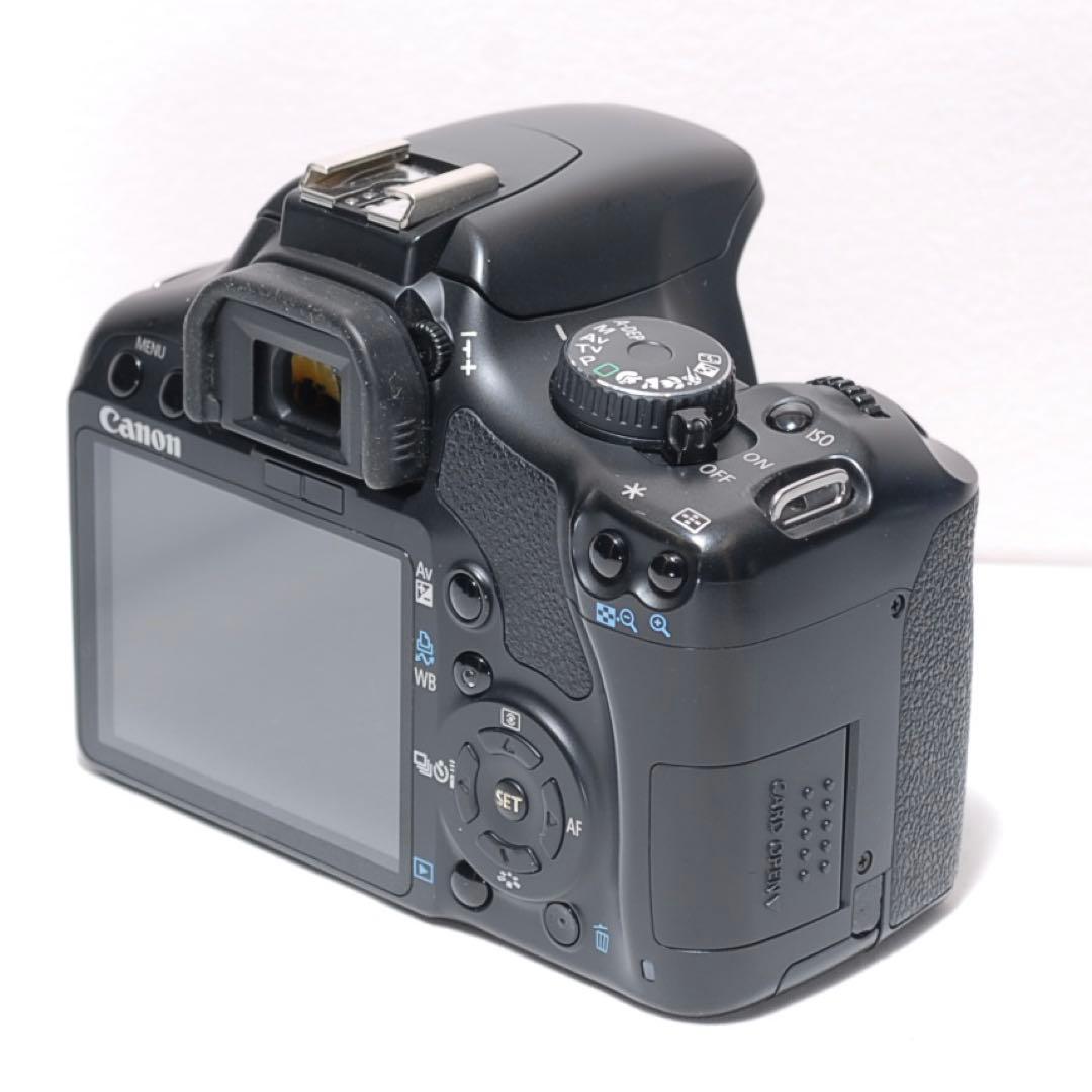 ✨超望遠レンズデビュー✨Canon Kiss X2✨ ダブルレンズ✨作例あり✨