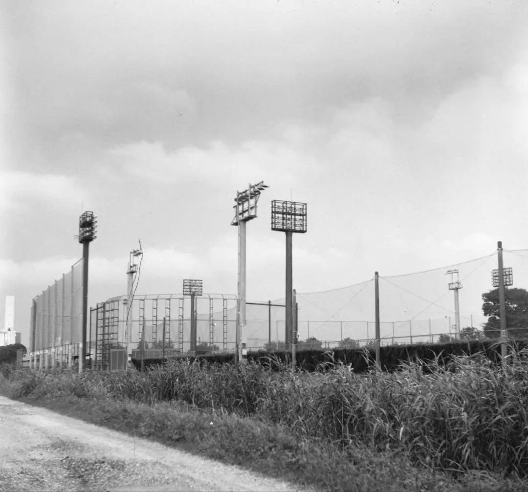 【作例あり】動作品　YASHICA D　二眼レフ