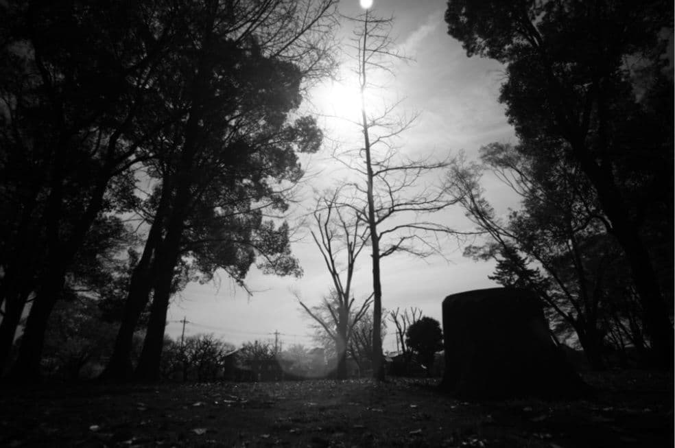 ☆最終値下げ☆ルサール　MP-2 20ｍｍ　f５.6 超希少レンズ