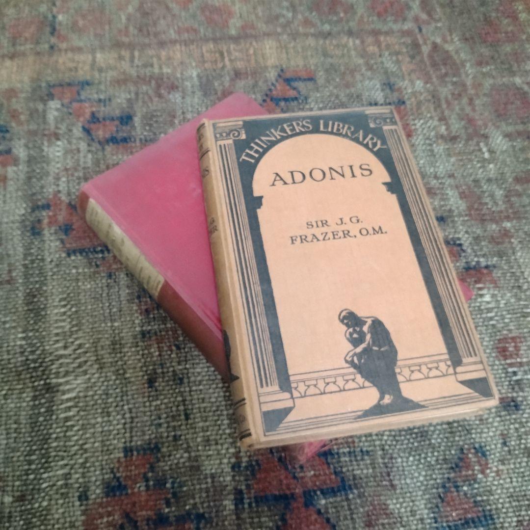 アンティーク　ヴィンテージ　洋書　まとめ 10冊　赤系