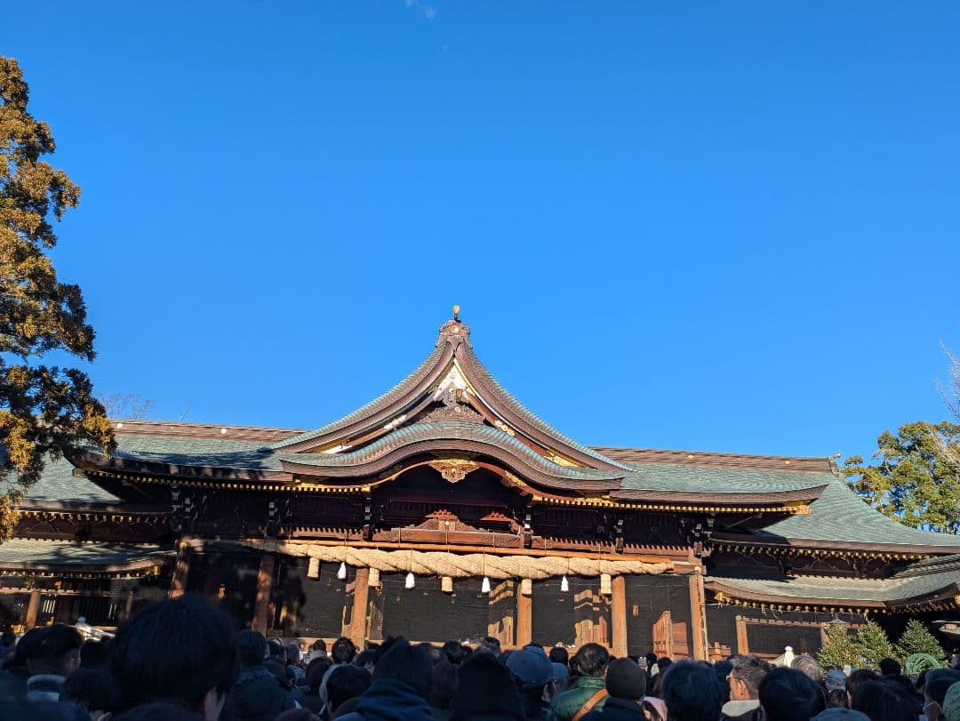 正絹銀座もとじ雪輪文様開名古屋