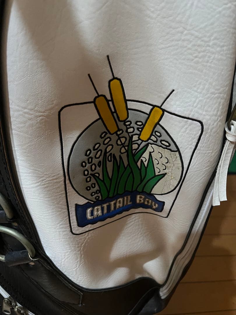 ⭐️激レア⭐️BELDING キャディバッグ　パームスプリングス