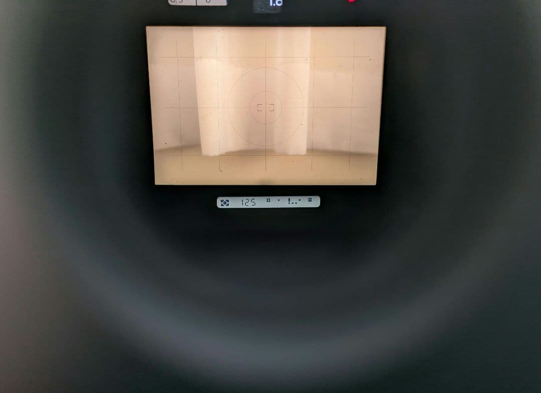 動作快調 Nikon F4s　ニコン フィルムカメラ