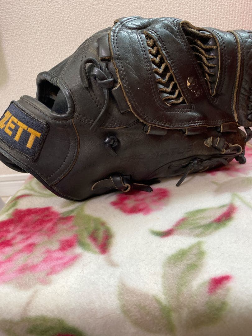 野球グローブ ZEET PROSTATUS 内野外野