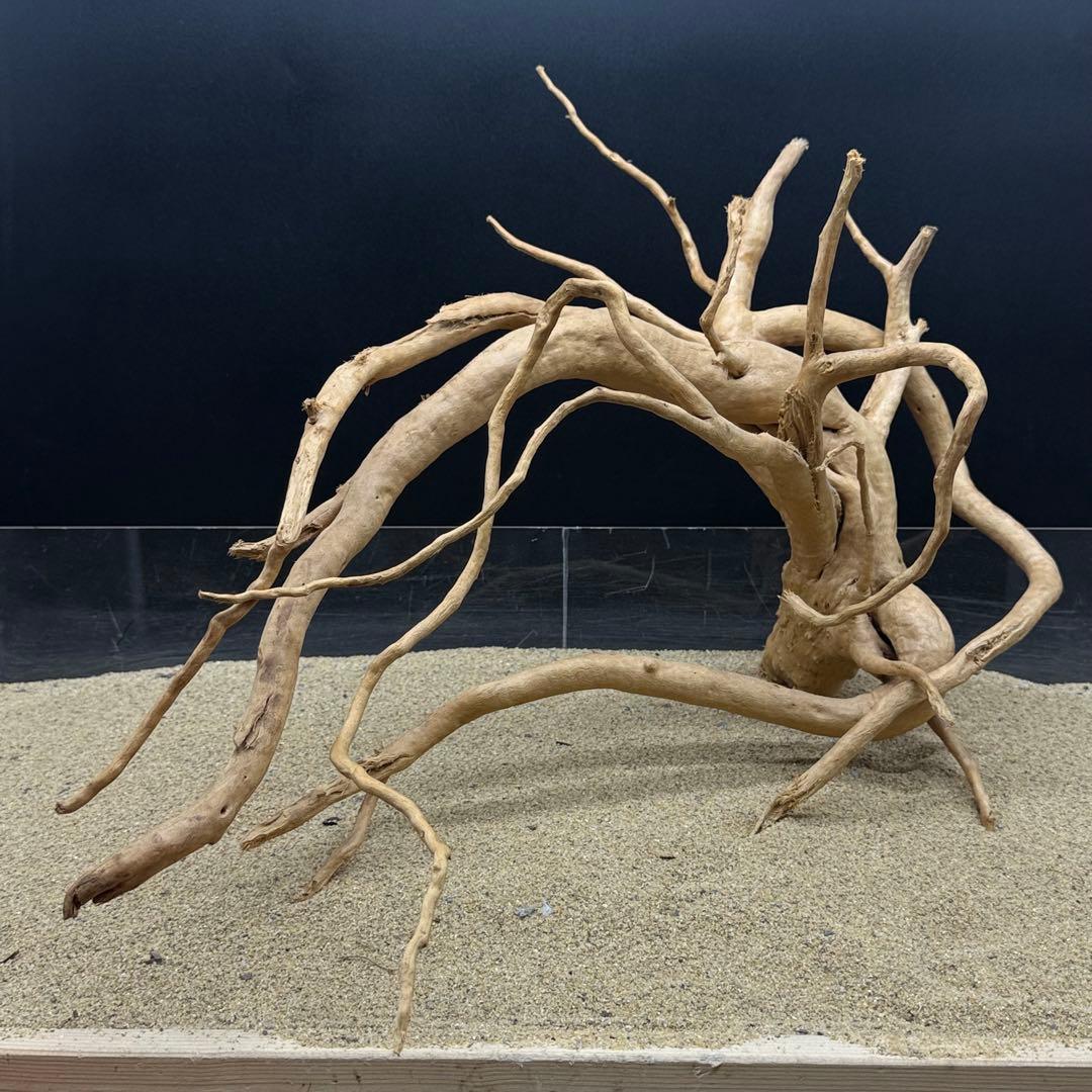 MDW-6989 特大ブランチウッド　流木　枝流木　アクアリウム