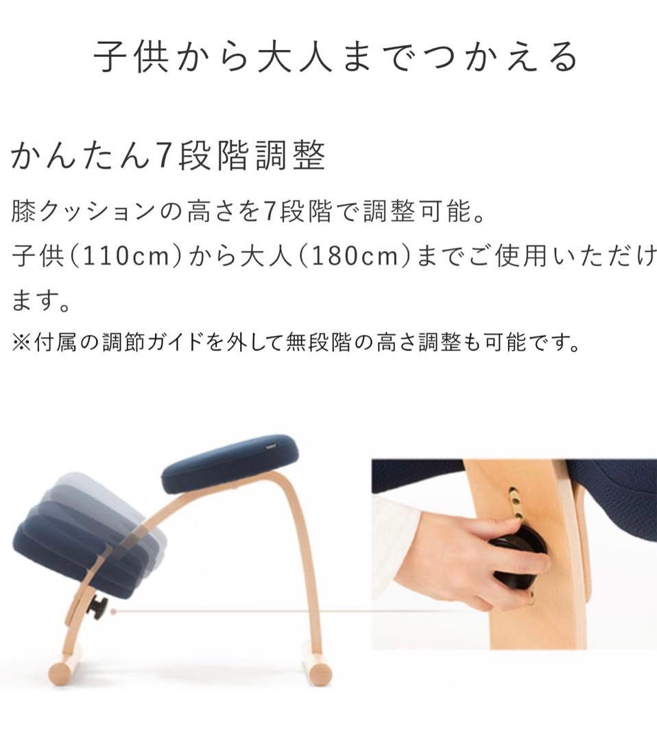 【純正カバー付き】ネイビー バランスチェア　バランスイージー　ショートフレーム