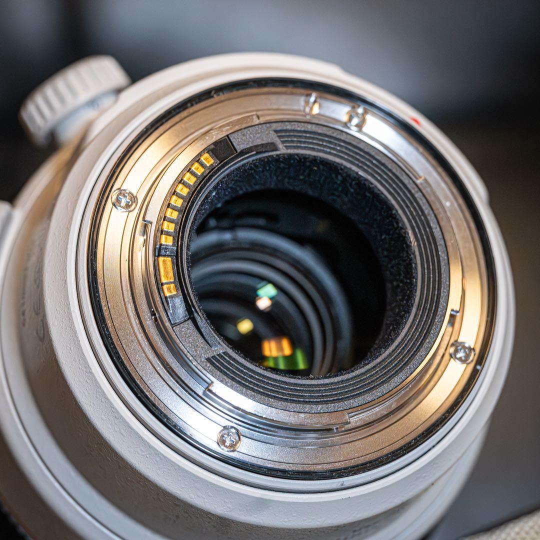 レンズ(ズーム) Canon EF100-400mm f4.5-5.6L IS II USM