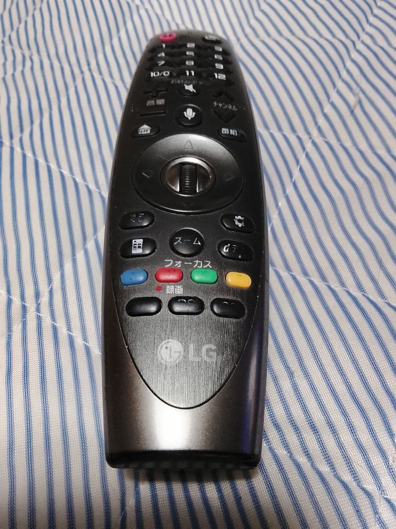 LG有機EL55インチテレビ【訳あり】OLED55e8pja❨直接引き取り限定❩