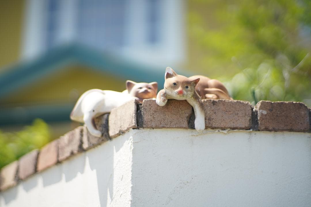 フィルムカメラ Carl Zeiss Planar 85mm F1.4 Germany