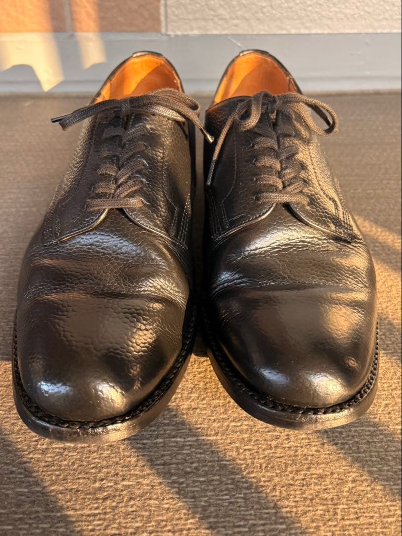 靴 Sanders Wild Life Tailor UK7.5