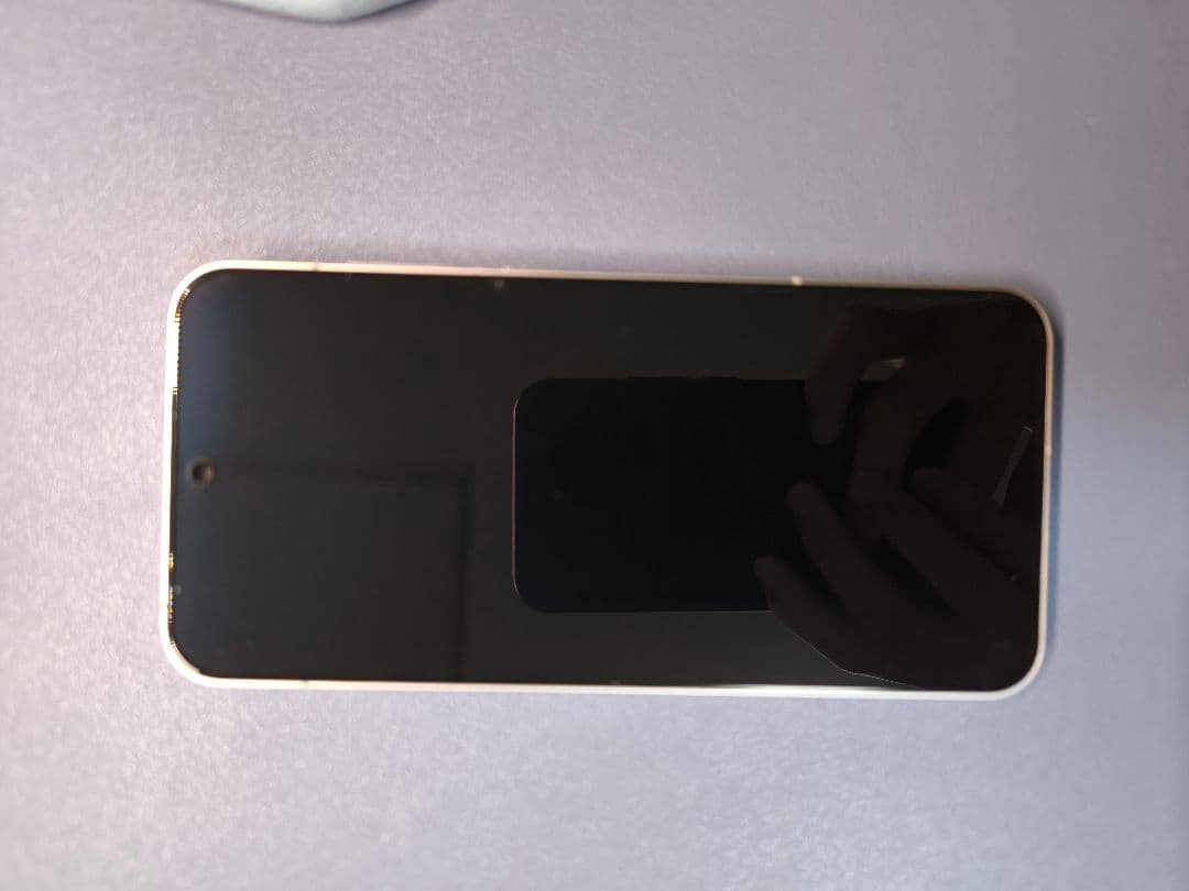 OnePlus 13T 12/256 中国版