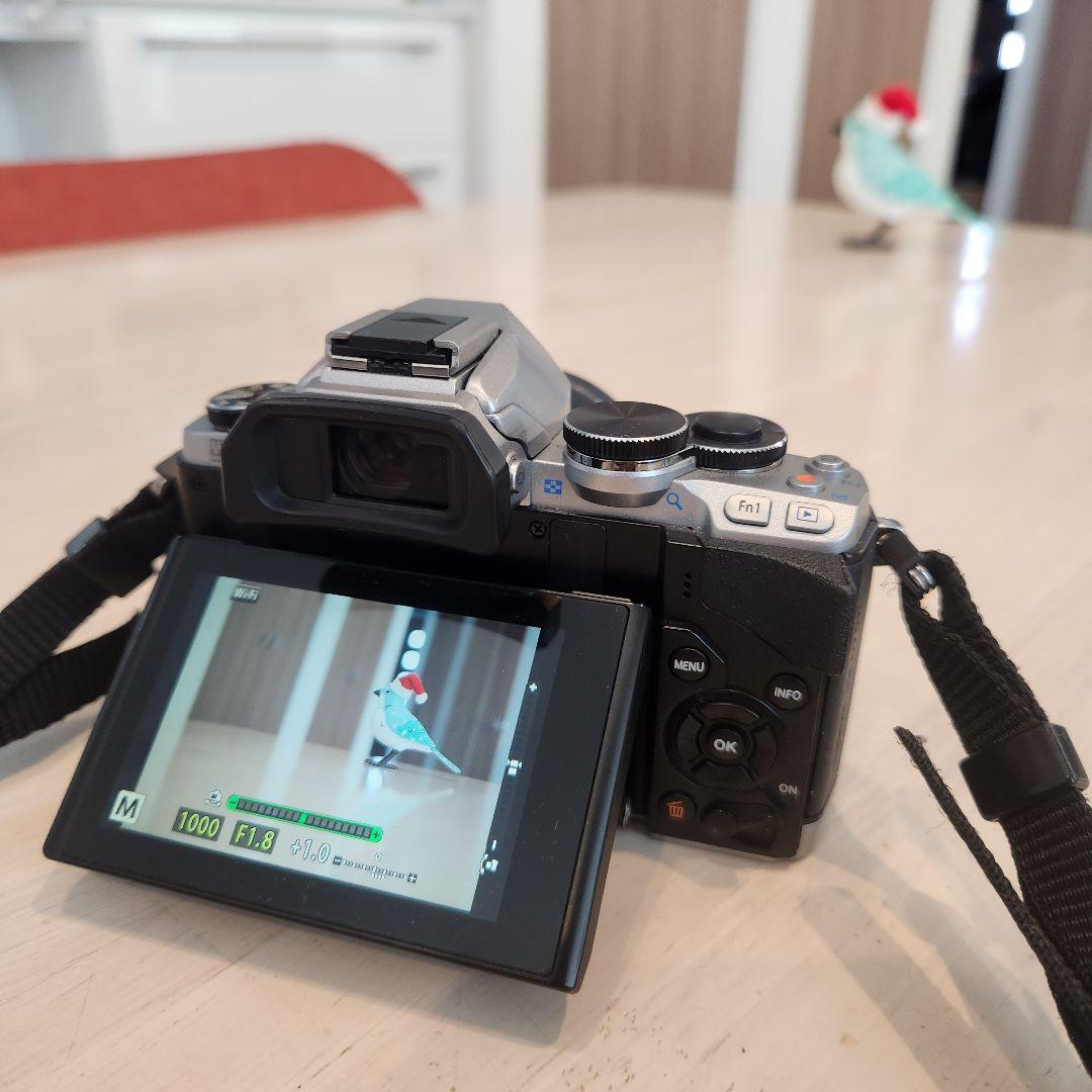 OLYMPUS OM-D E-M10 シャッター数 3257回