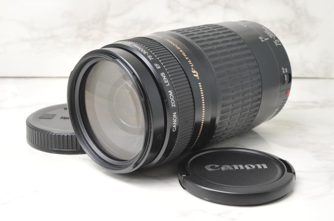 Canon EF 75-300mm F4-5.6 USM⭐️望遠レンズ キャノン