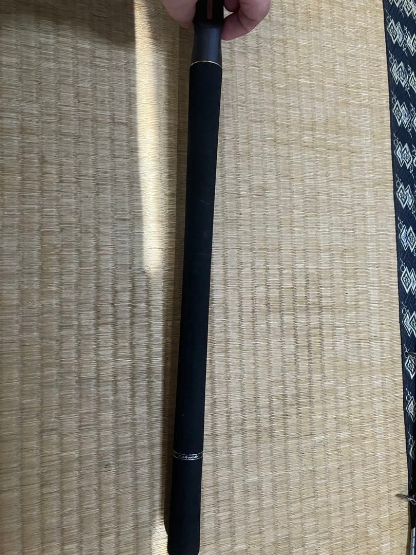 【専用】テイルウォーク　ジグフォースSSD C602