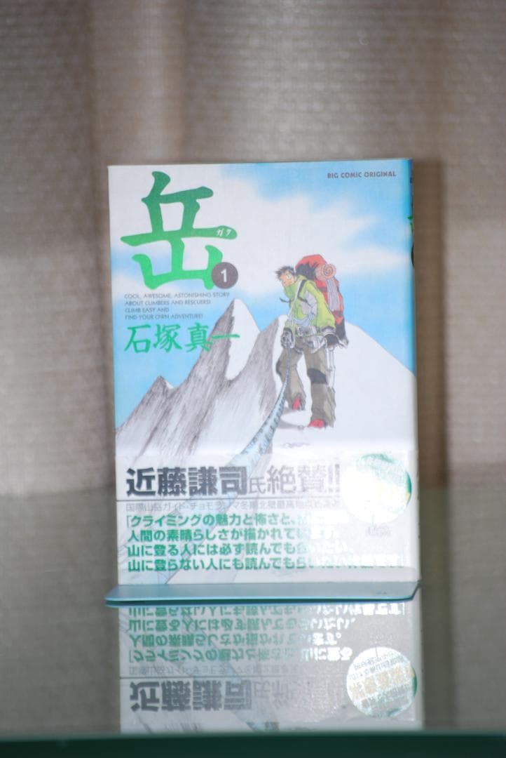 Nikon D60 　ダブルズーム（ボディはバッタ相応価格+レンズ2本の価格）