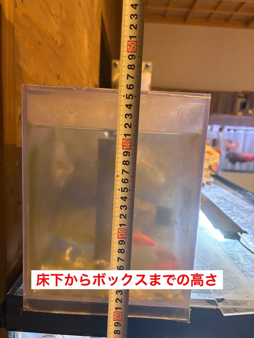 150×60×60 アクリル水槽 ぷぅ工房濾過装置付きフルセット