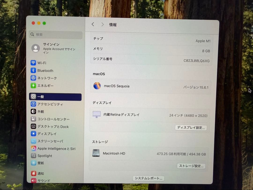 Apple iMac M1 256 GB ワイヤレスキーボード・マウス付き