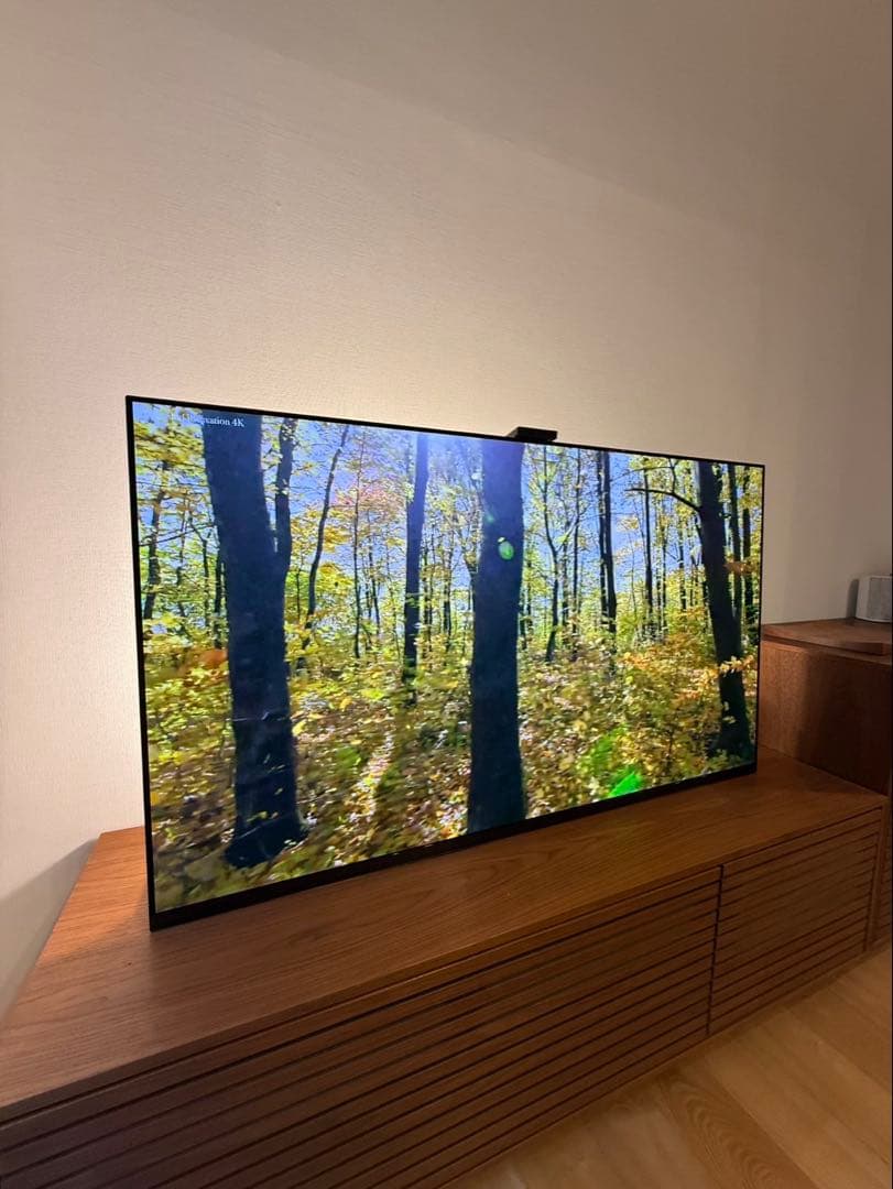 Ryosa 様SONY 2022年製 65型 BRAVIA XRJ-65A95K