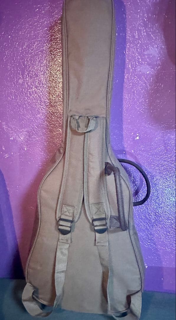 Gopher Wood アコースティックギター