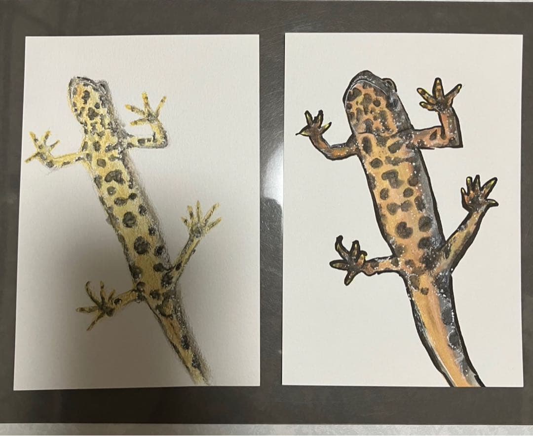 どんぐり　※他の方は購入できません