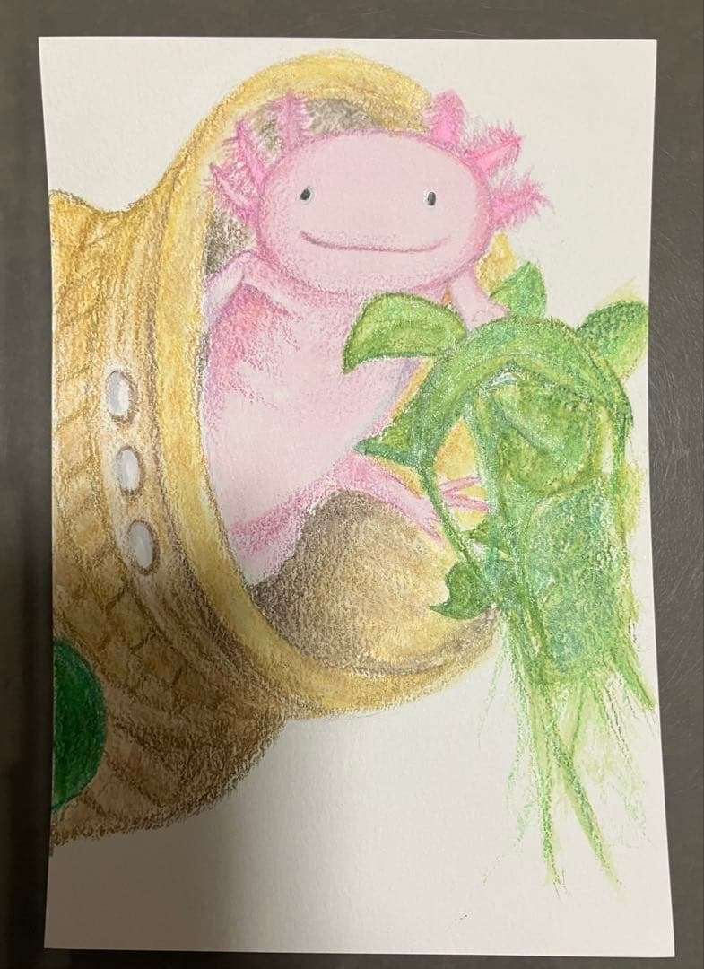 どんぐり　※他の方は購入できません