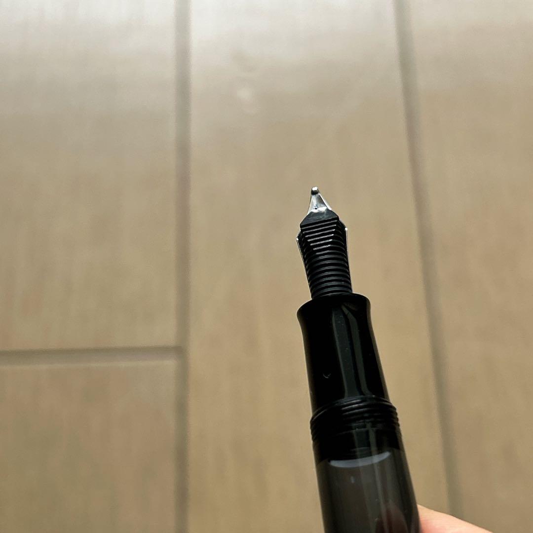【故障品】M101N Lizard M ペリカン万年筆