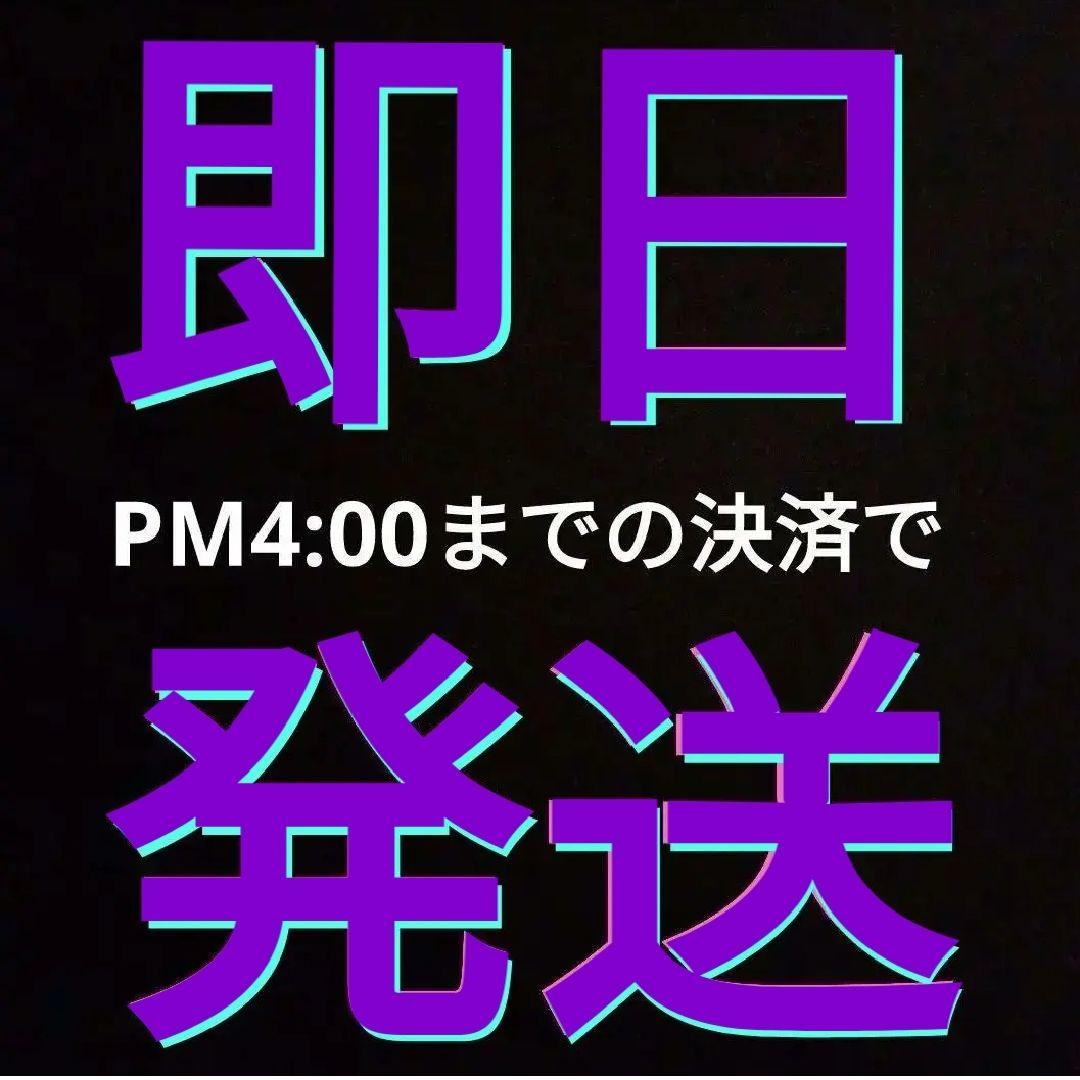 カシムラ 大型トランス TTS-119C 変圧器 100V/230V 3000W