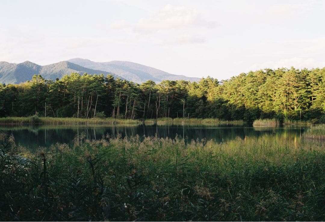 ■ 美品 ■ ニコン　Nikon F3 HP ボディ ≪198万番台≫