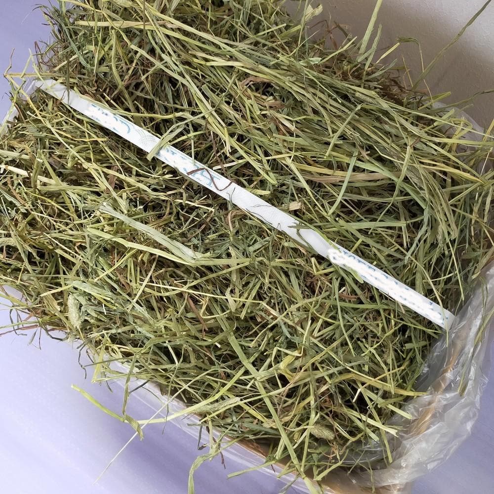 US産 チモシー 60kg ２番刈 ソフトスーパープレミアム