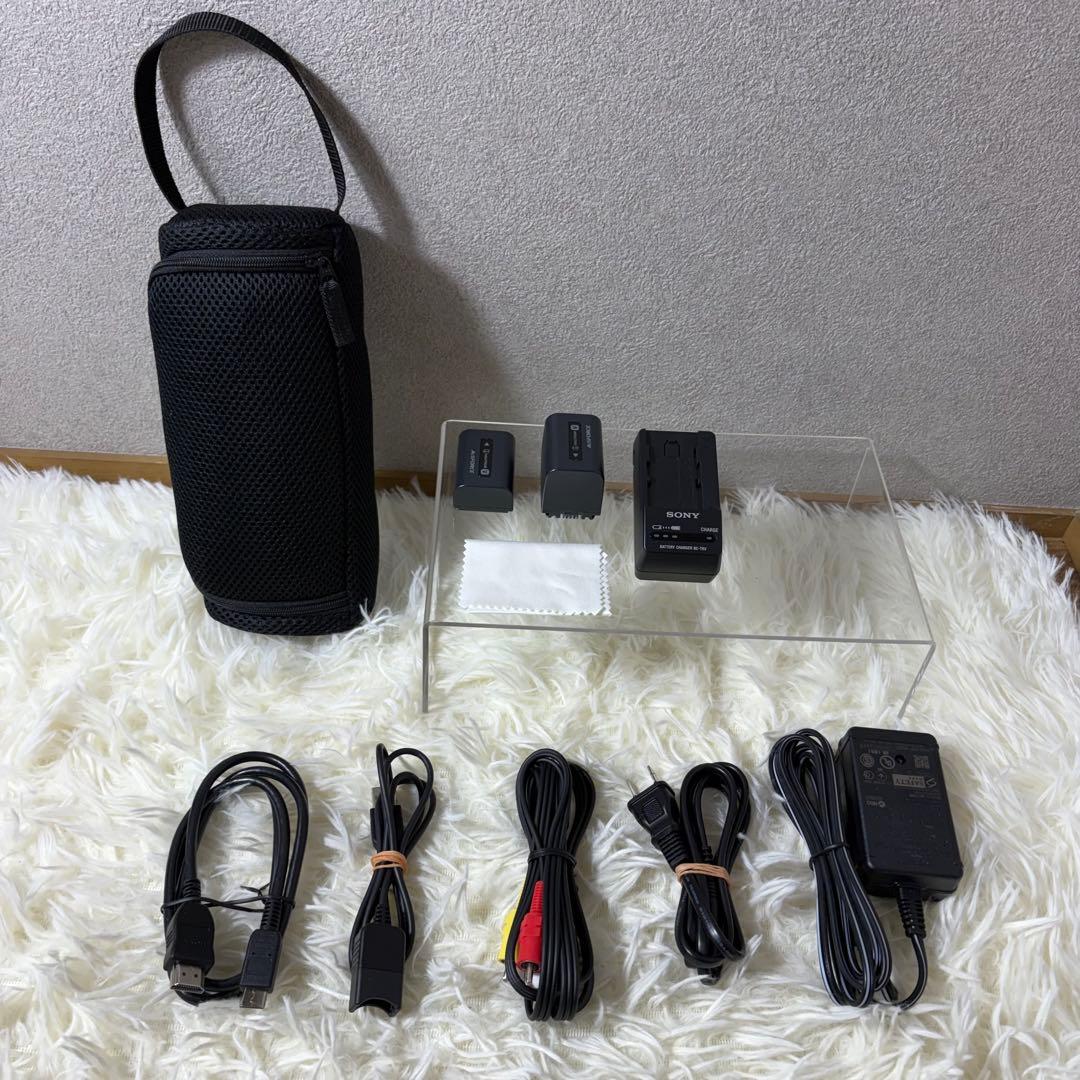 【極美品】Sony Handycam HDR-CX270V 付属品多数