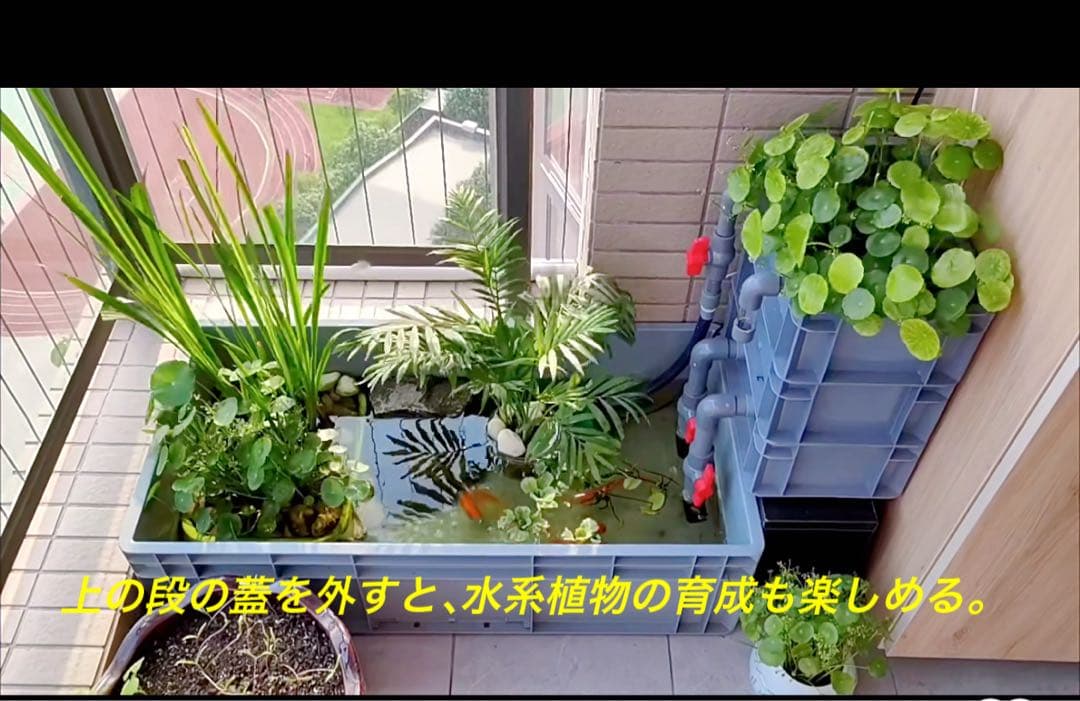 三段式万能濾過装置、濾過層濾過飼育 濾過装置、外部フィルター