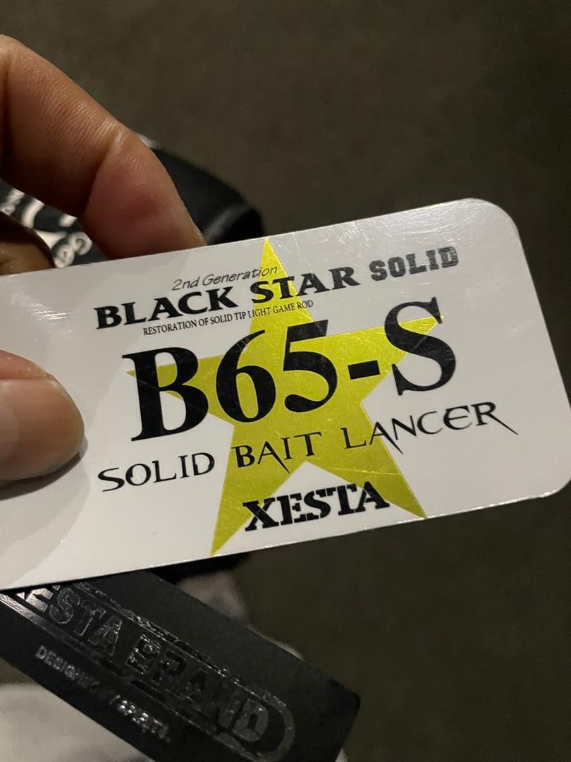 希少！ZESTA ブラックスターB65-S ソリッドベイトランサー