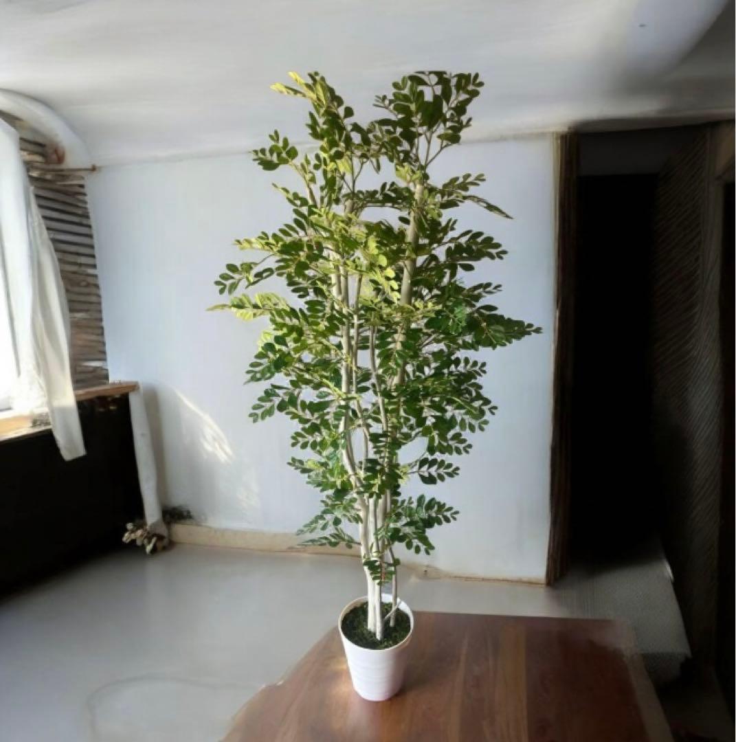 光触媒　人工観葉植物　ウォールグリーン　フェイクグリーン　トネリコ17075aj
