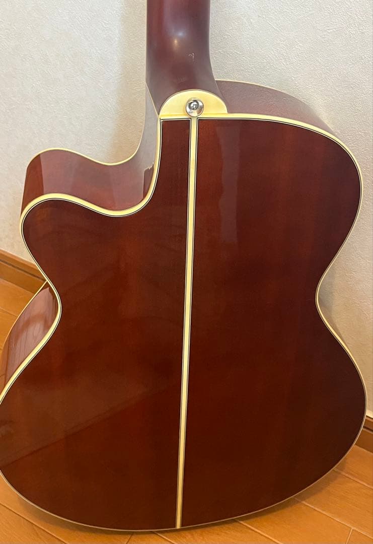 Legendエレアコ　ケース　スタンド　　　カポ付き