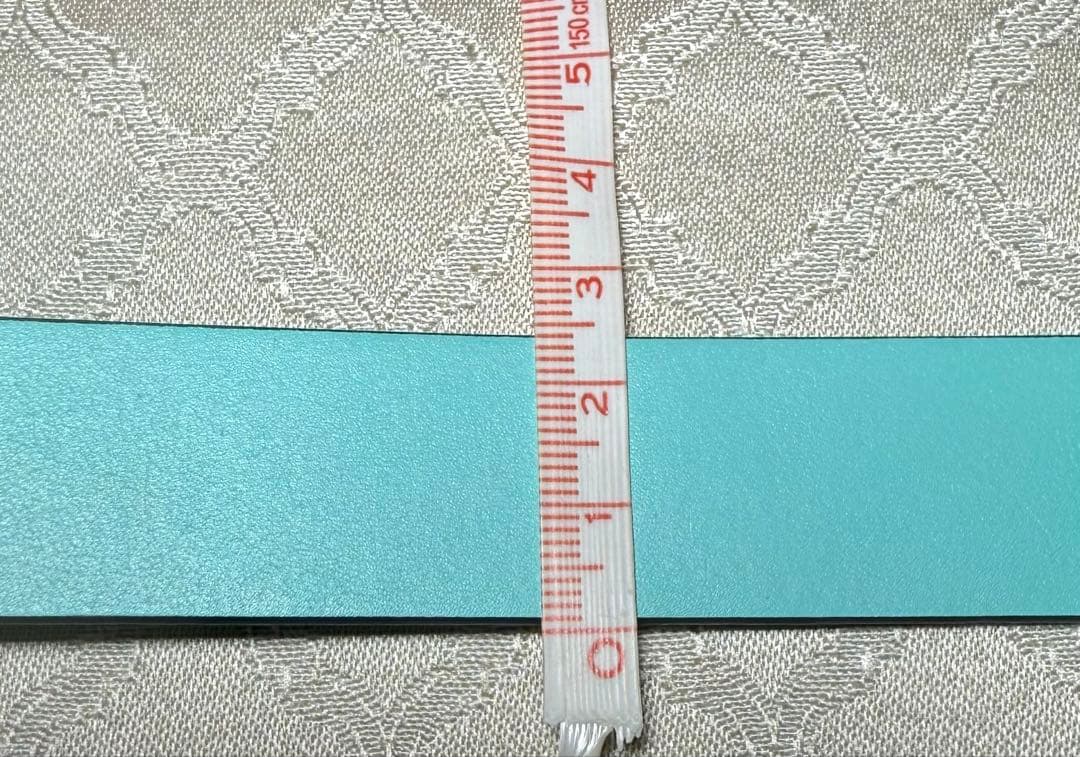 Tiffany & Co. ティファニーブルー レザー首輪