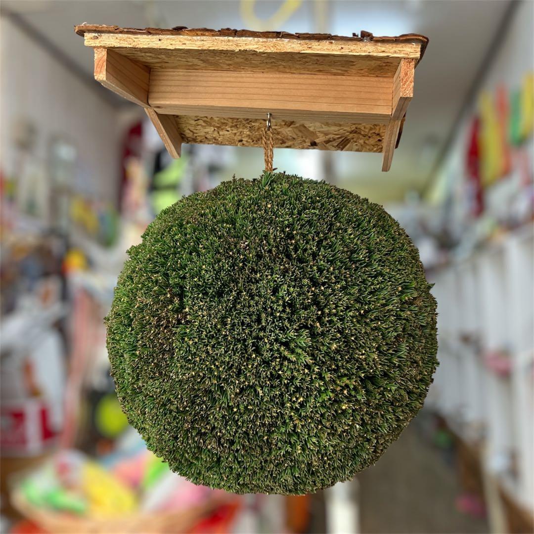 杉玉【屋根付き】③
