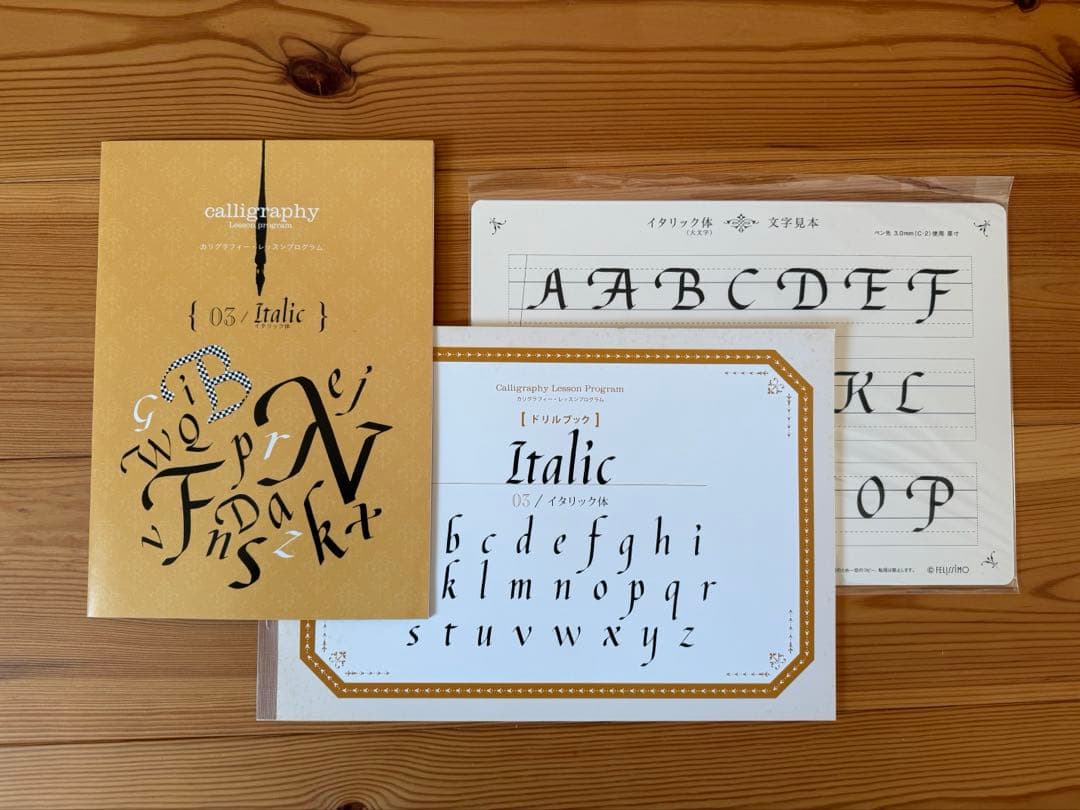 未使用品　カリグラフィー レッスン 全種セット フェリシモ