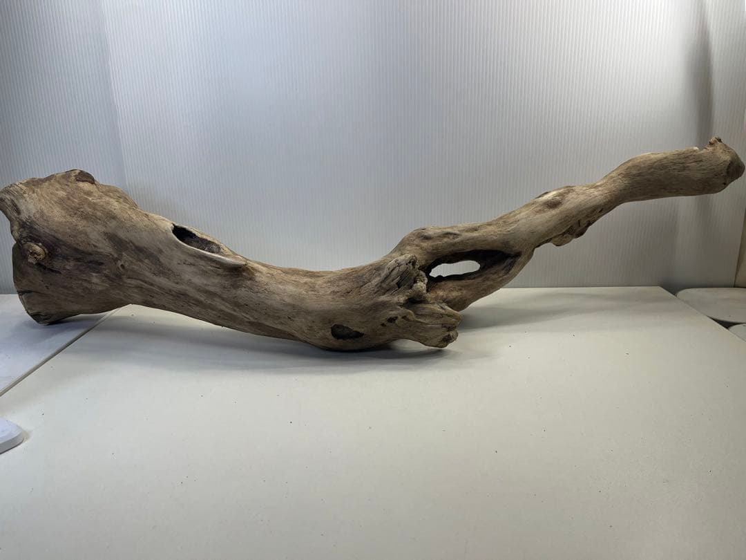 R64特大流木 アク抜き済み流木 爬虫類シェルター 登り木 インテリア 生け花