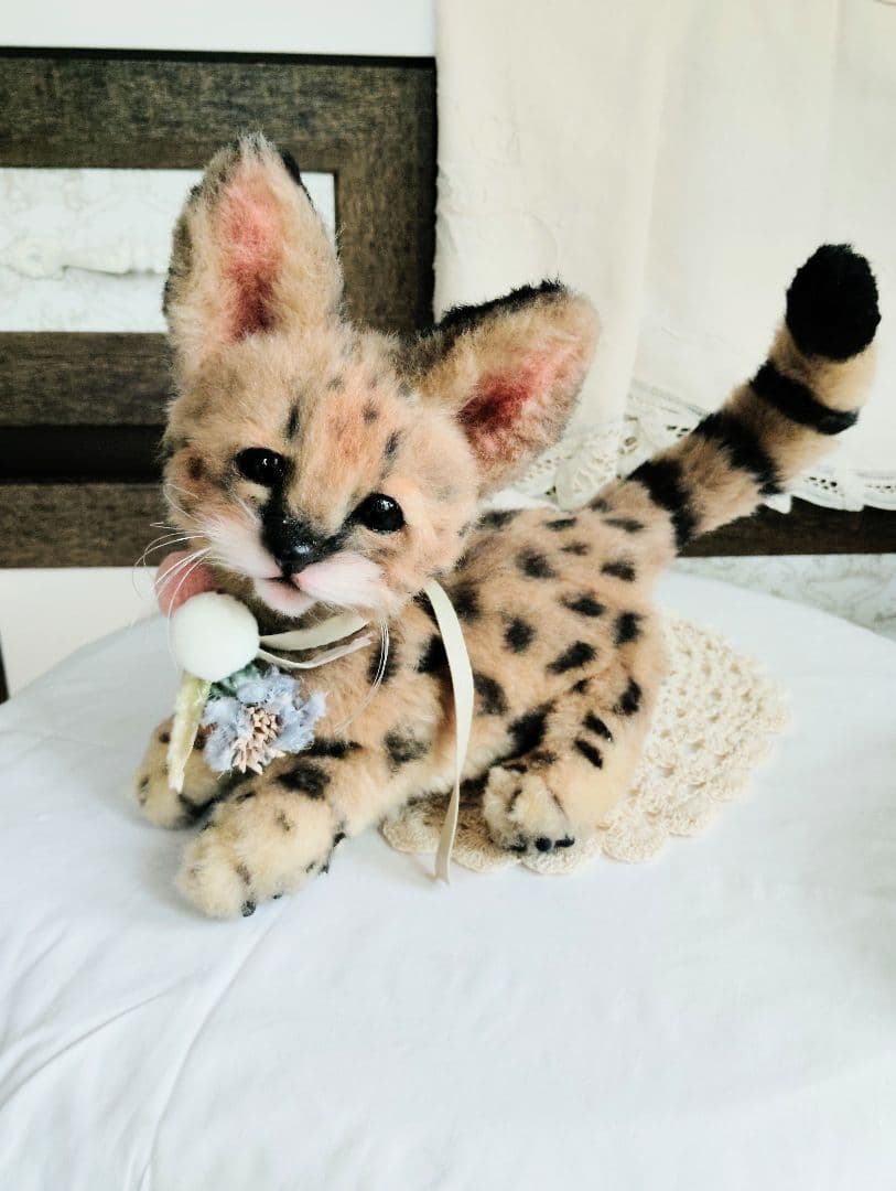 生後２ヶ月♡ベビーサーバルキャット♡アートドール♡ぬいぐるみ♡子猫ちゃん♡