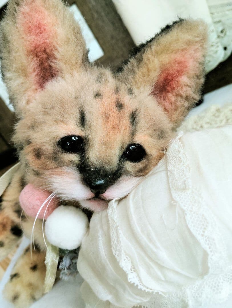 生後２ヶ月♡ベビーサーバルキャット♡アートドール♡ぬいぐるみ♡子猫ちゃん♡