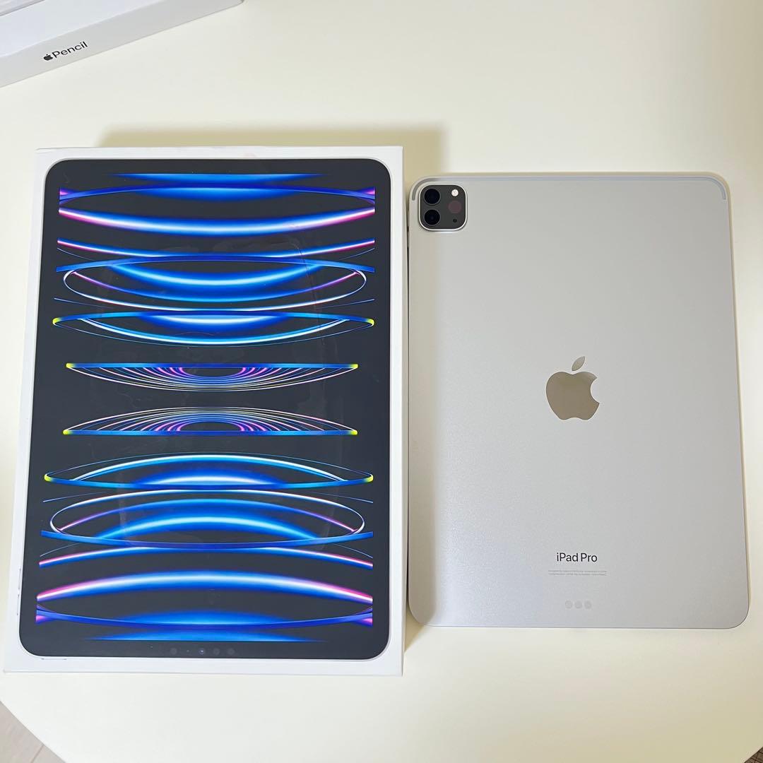Apple iPad Pro 11インチ 本体 + Apple Pencil