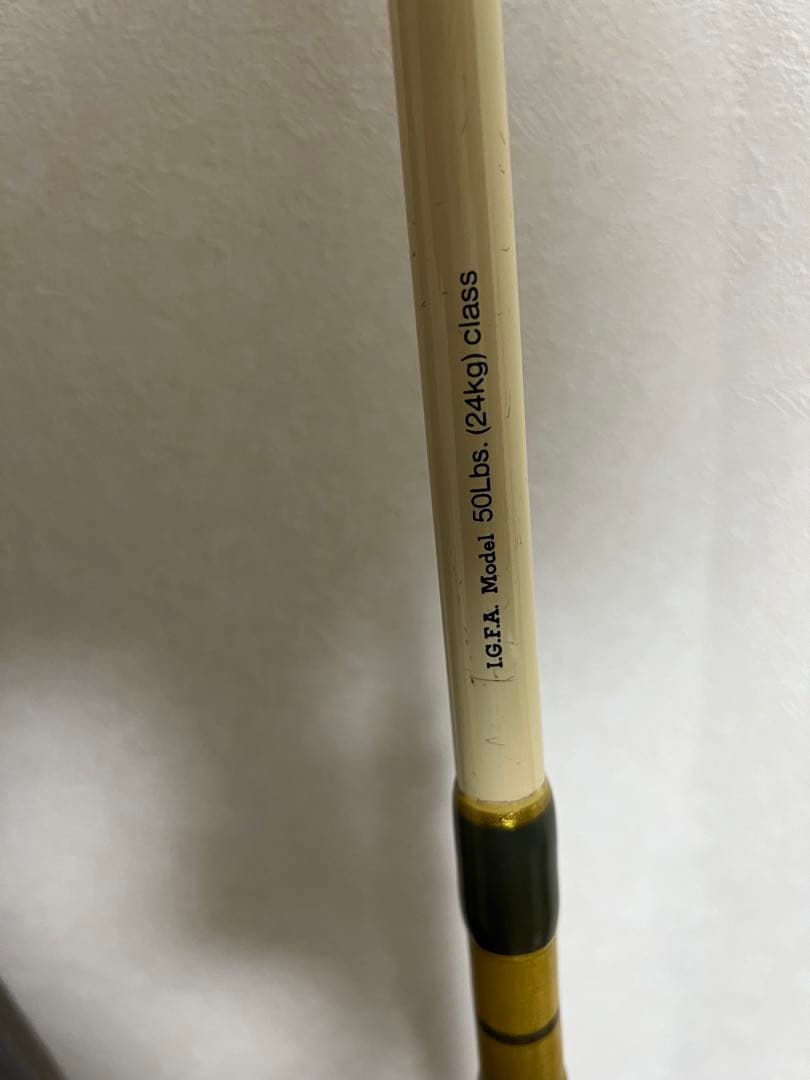 PENN INTERNATIONAL IGFA 2本セット ロッド