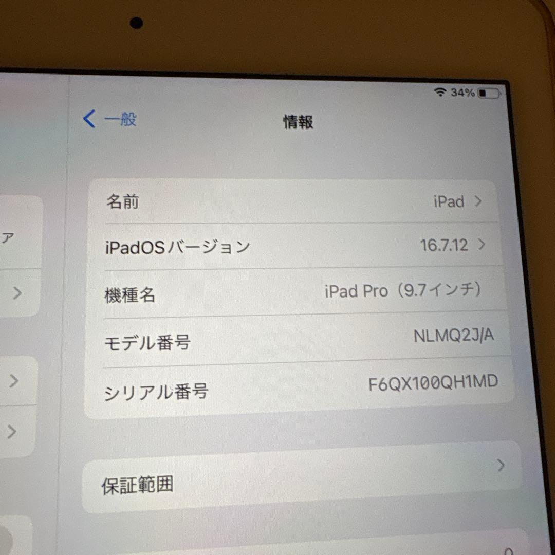 iPad Pro 9.7インチ 32GB