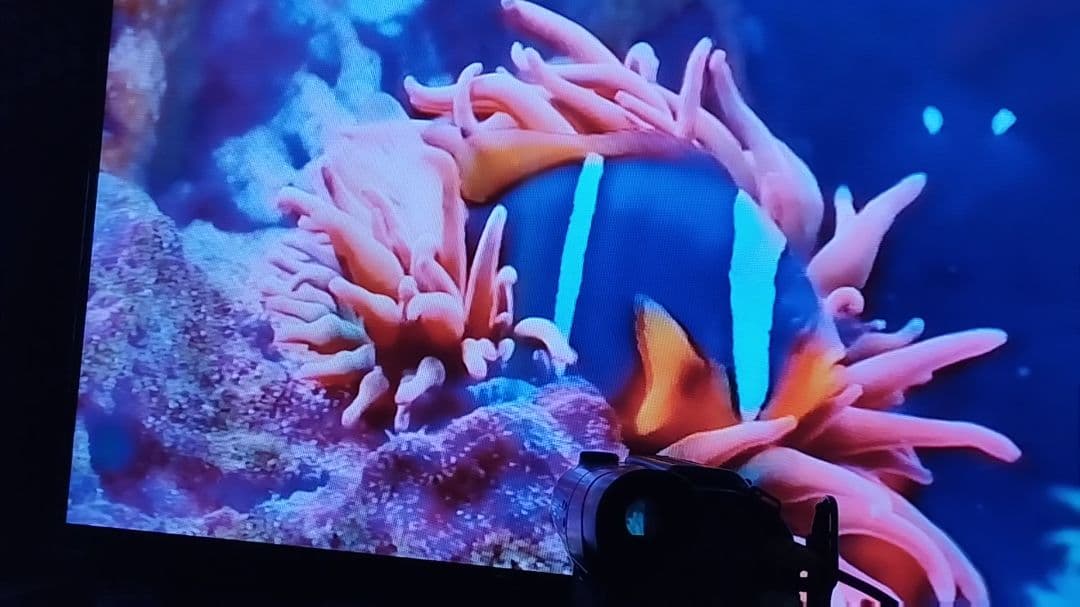 ソニー 8ミリビデオカメラ　Hi8対応 CCD-TR2　ダビング最適◎