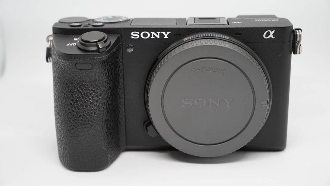ソニー a6500 ボディ