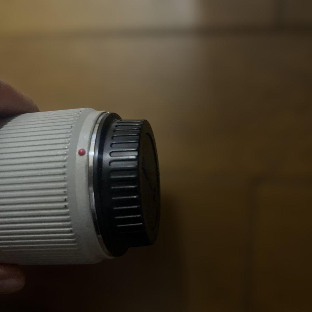 Canon EF 600mm 1：4 ULTRA SONIC 望遠レンズ