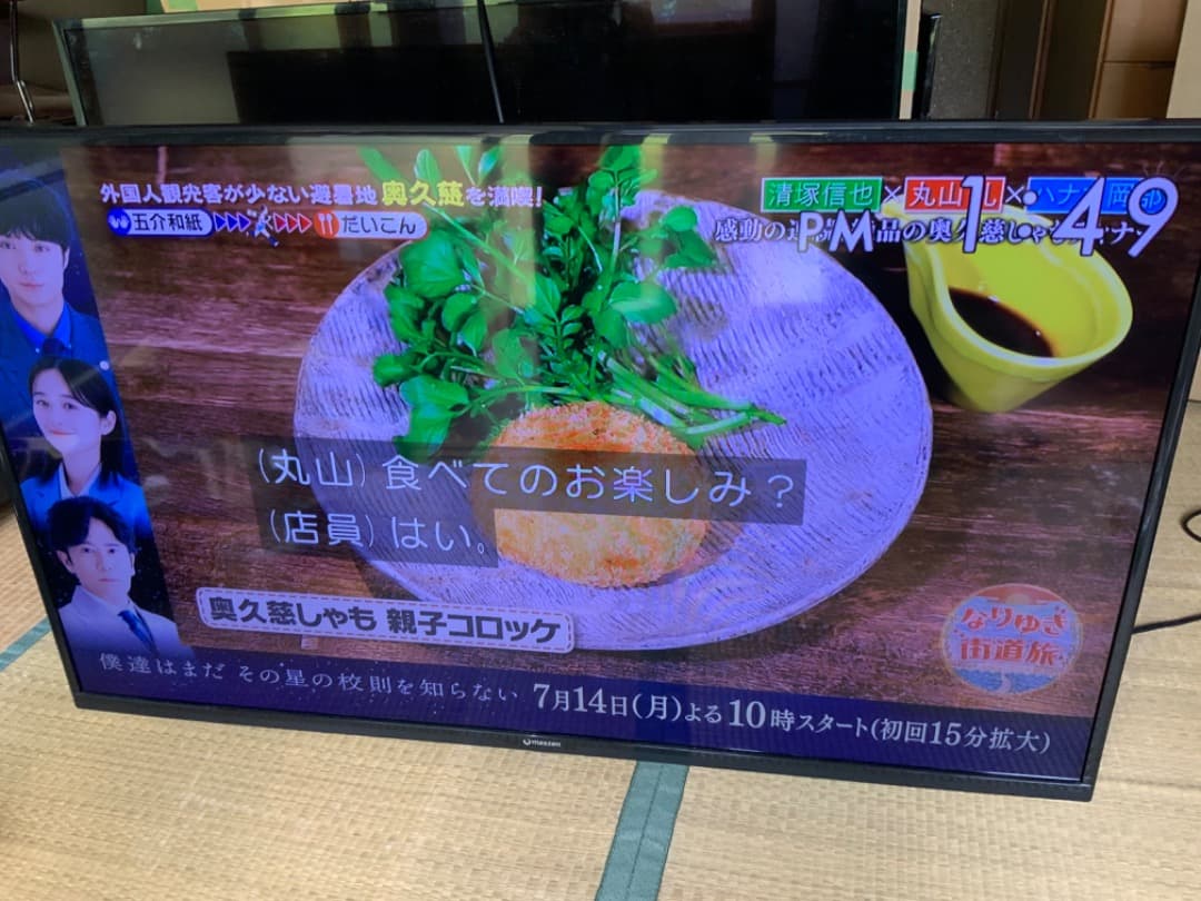 マクスゼン　テレビ　J43SK03 MAXZEN 直接取引