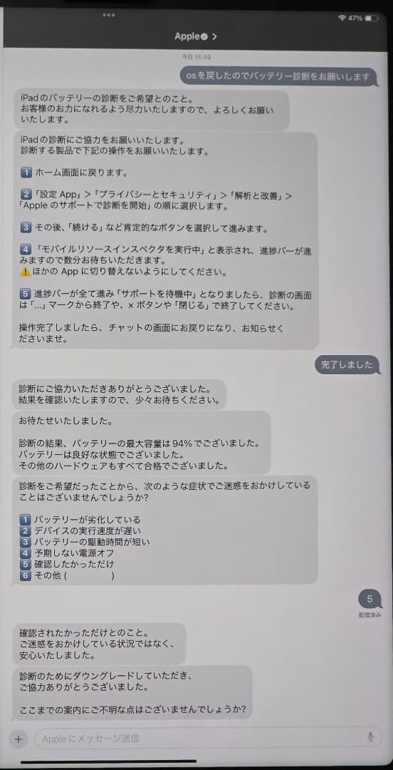 iPad Pro 12.9インチCellular 256GB 第５世代 ドコモ版