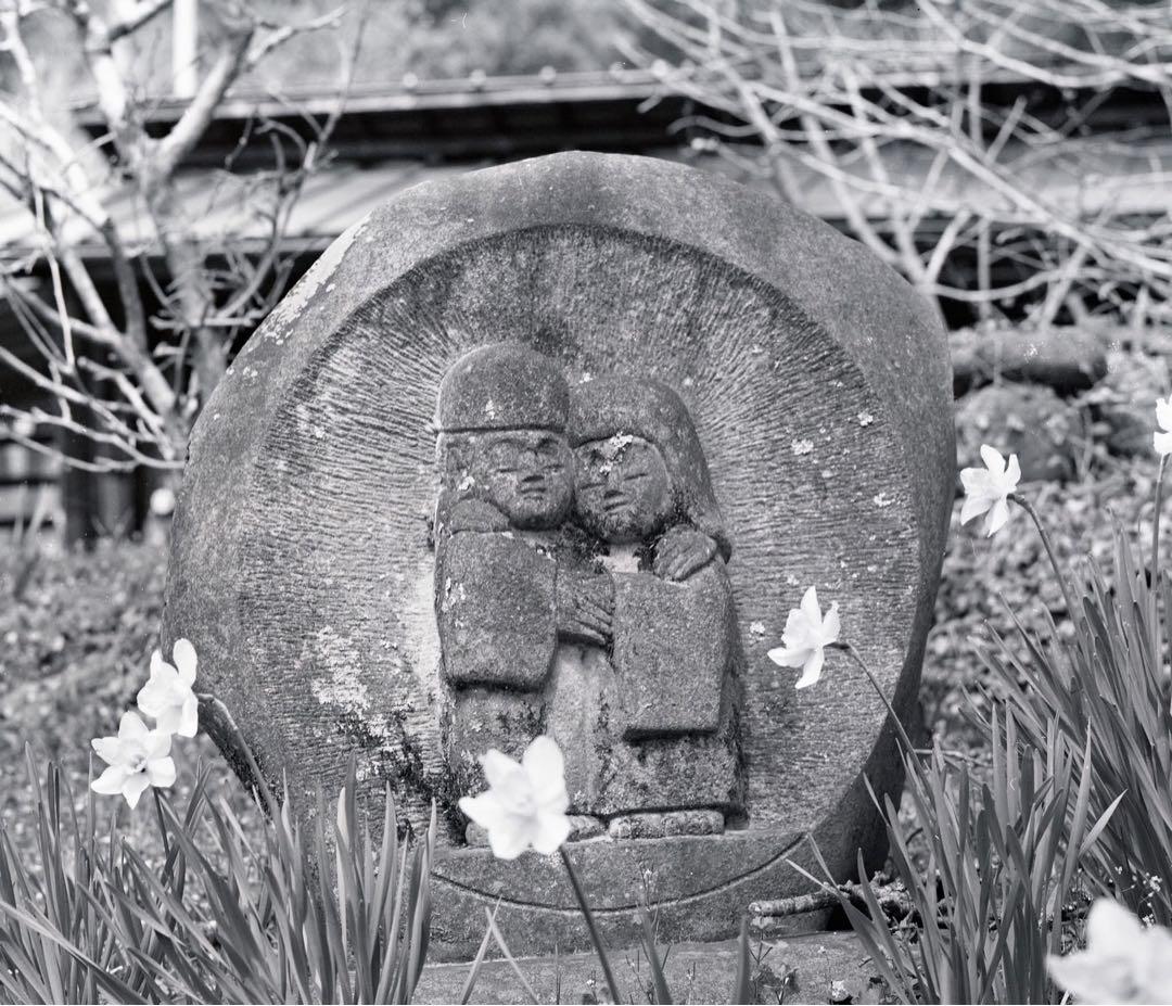 マミヤRB67 セコール127mm3.8 作例有り