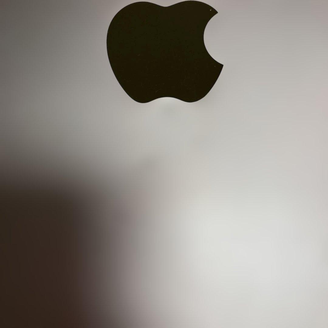 iPad Pro 9.7 32GB Lightningケーブル付属 動作確認済